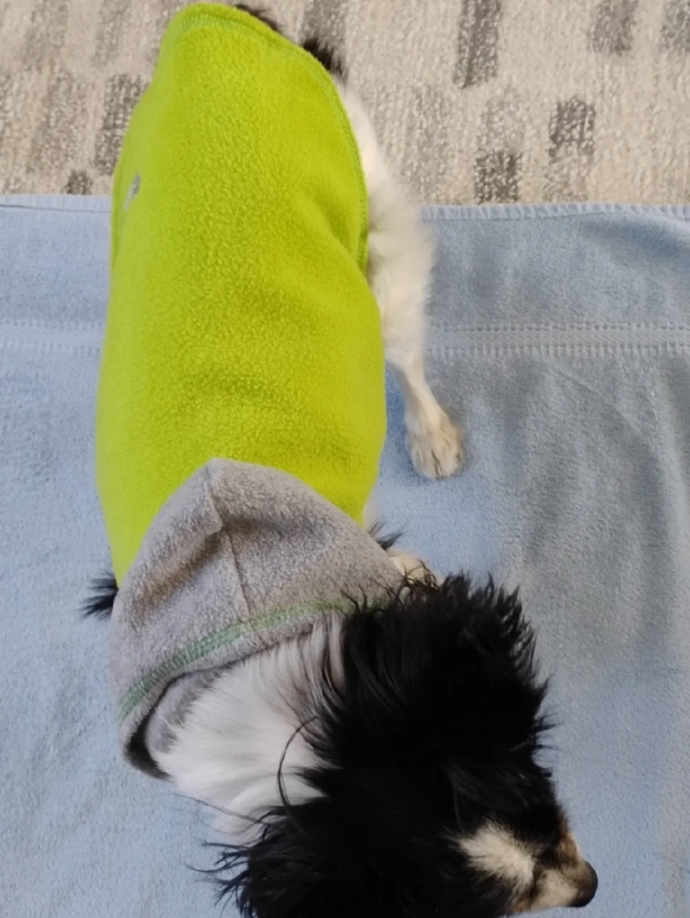 Fleece Dog Jackets